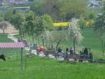 01 Kolonnenfahrt