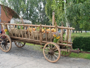erntedankumzug_2014_015