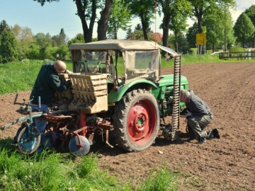 kartoffeln_2014_003