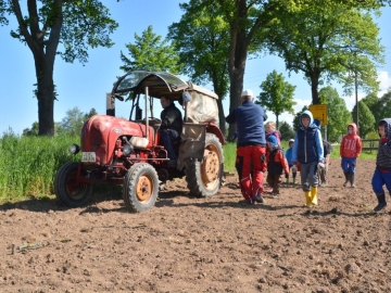 kartoffeln_2014_012