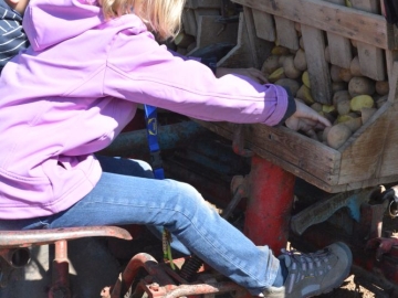 kartoffeln_2014_034