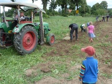 kartoffeln_2014_ernte1_09