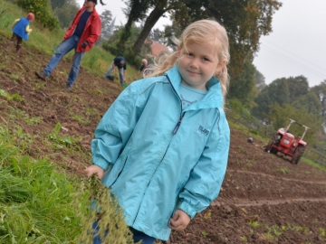 kartoffeln_2014_ernte2_18